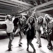 Big Brother And The Holding Company - List pictures