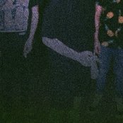 Cardinal - List pictures