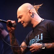 Lipa - List pictures