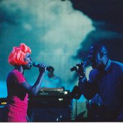 Poi Dog Pondering - List pictures