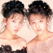 Wink - List pictures