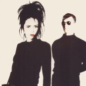 Curve - List pictures