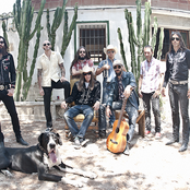 Corizonas - List pictures