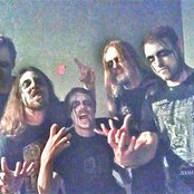 Cormorant - List pictures