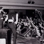 Root - List pictures