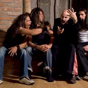 Dead Soul Tribe - List pictures