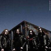 Unleashed - List pictures