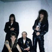 X-wild - List pictures