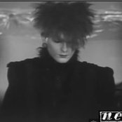 Neon - List pictures