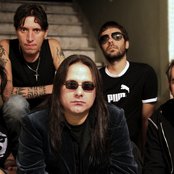 Viper - List pictures