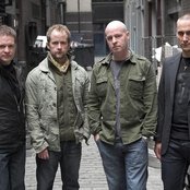 Beecake - List pictures