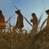 Traffic - List pictures