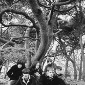 The Coral - List pictures