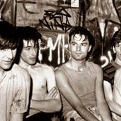 Chameleons - List pictures