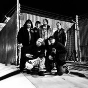 Insolence - List pictures