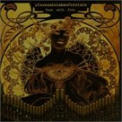 Planes Mistaken For Stars - List pictures