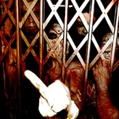 Spectre - List pictures