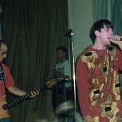 Inspiral Carpets - List pictures