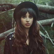 Foxes - List pictures