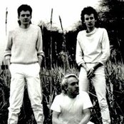 Tones On Tail - List pictures