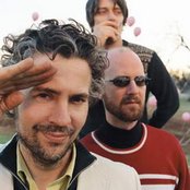 Flaming Lips - List pictures