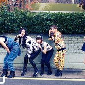 Evol - List pictures