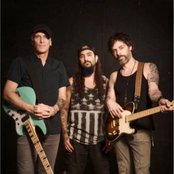 Winery Dogs - List pictures