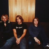 Vines - List pictures