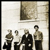 The Gun Club - List pictures