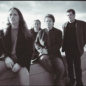The Eagles - List pictures