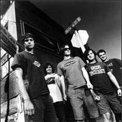 Seaweed - List pictures