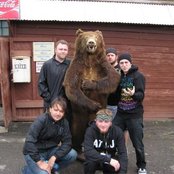 All Shall Perish - List pictures