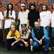 Soldiers Of Jah Army - List pictures