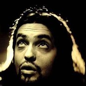 Bablyon Zoo - List pictures