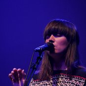 Taken By Trees - List pictures