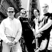 Stiff Little Fingers - List pictures