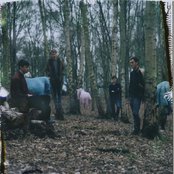 Glass Animals - List pictures