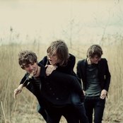 Dewolff - List pictures