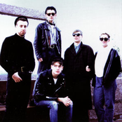 Sad Lovers And Giants - List pictures