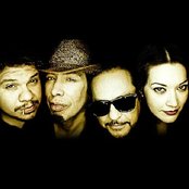 Tito & Tarantula - List pictures