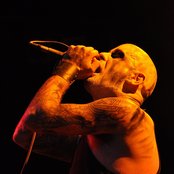 Primordial - List pictures