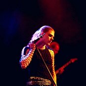 Diary Of Dreams - List pictures