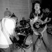 Orchid - List pictures