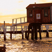 D-why - List pictures