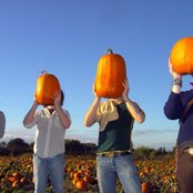 Portugal. The Man - List pictures