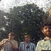 Woods - List pictures