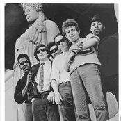Paul Butterfield - List pictures