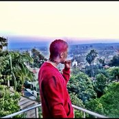 Kid Red - List pictures