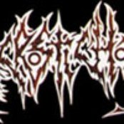 Acrostichon - List pictures