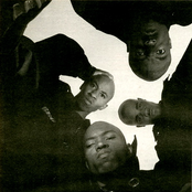 Onyx - List pictures